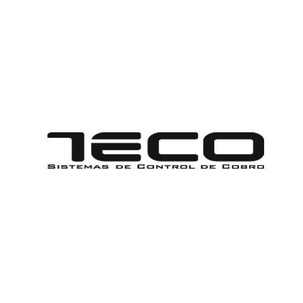 logo-por-defecto-teco